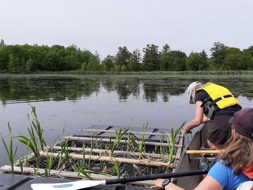 Volunteers from the Dog & Creanberry Lake Association set out one of two floating treatment wetlands platforms.